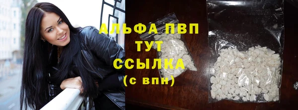 ECSTASY Магадан