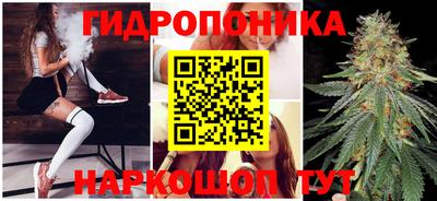 дурь Кандалакша