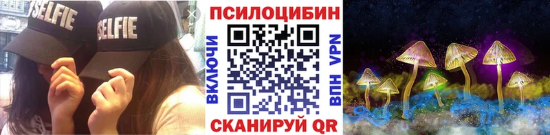 Галлюциногенные грибы Psilocybe  Касимов 