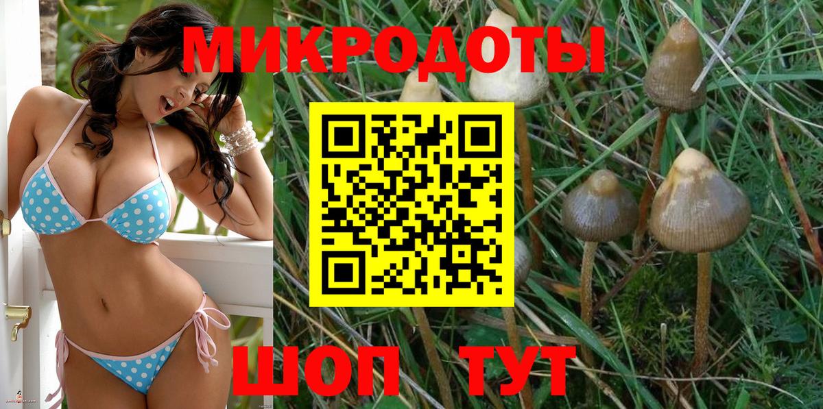 Касимов  купить наркотики сайты  Вход с VPN  Псилоцибиновые грибы мухоморы 