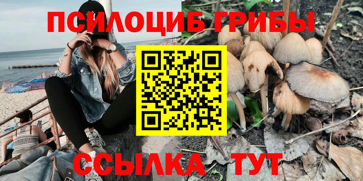 Псилоцибиновые грибы Magic Shrooms Касимов
