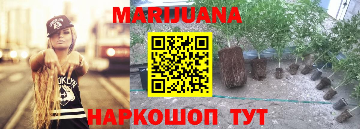 Бошки марихуана OG Kush  Конопля MAZAR  Вход с VPN  Касимов  Конопля гибрид  Канабис AK-47 